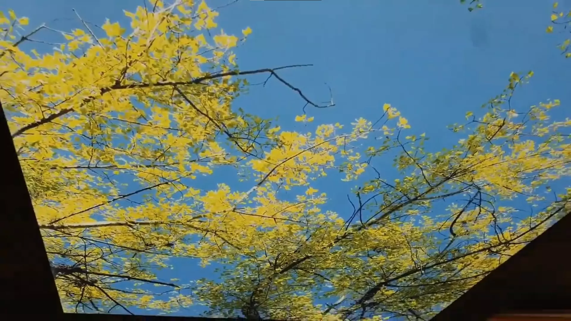 Гурзуф, проспект Кирова, 66, фото 2